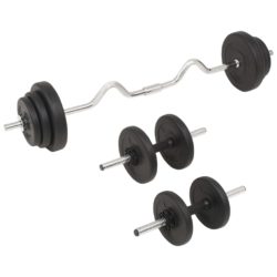 vidaXL Vektstang- og manualsett 30 kg