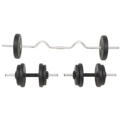 vidaXL Vektstang- og manualsett 30 kg