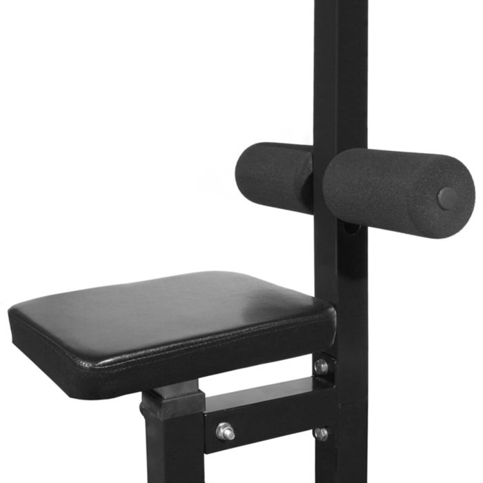 vidaXL Treningstårn med vektstang- og manualsett 30,5 kg