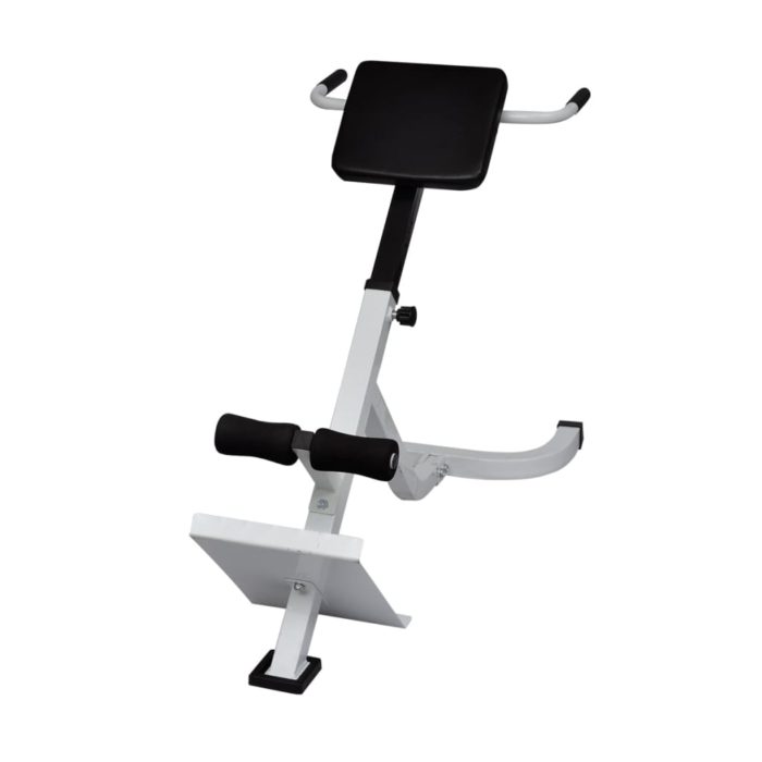 vidaXL Ryggtrener