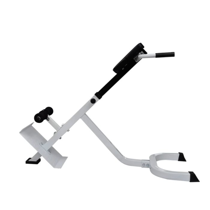 vidaXL Ryggtrener