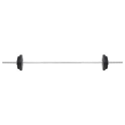 vidaXL Vektstang- og håndvektsett 30 kg