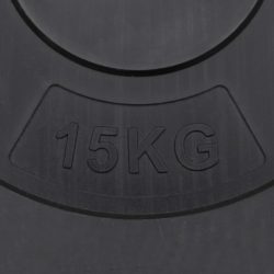vidaXL Vektskiver 2 stk 30 kg sement