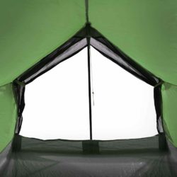 vidaXL Campingtelt 2 personer grønn vanntett