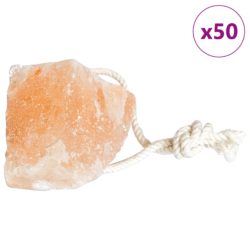 vidaXL Saltstein 50 stk med snorer for husdyr 6,25 kg Rosa