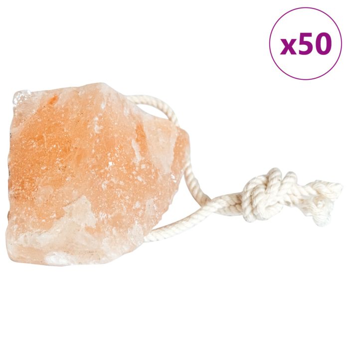 vidaXL Saltstein 50 stk med snorer for husdyr 6,25 kg Rosa